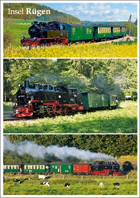 47046.JPG