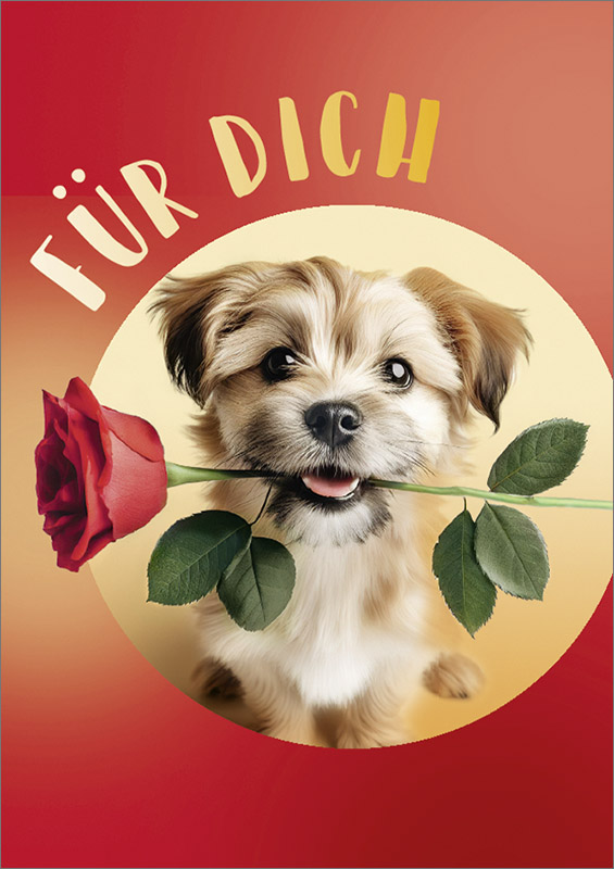 Emotional Rescue Geburtstagskarte Für Ehemann – „Together Fur-ever“ Mit Hunde-Motiv, 15,2x15,2 Cm, Recycelbar