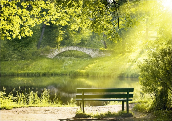 62474.jpg